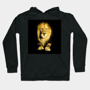 Lion Hoodie